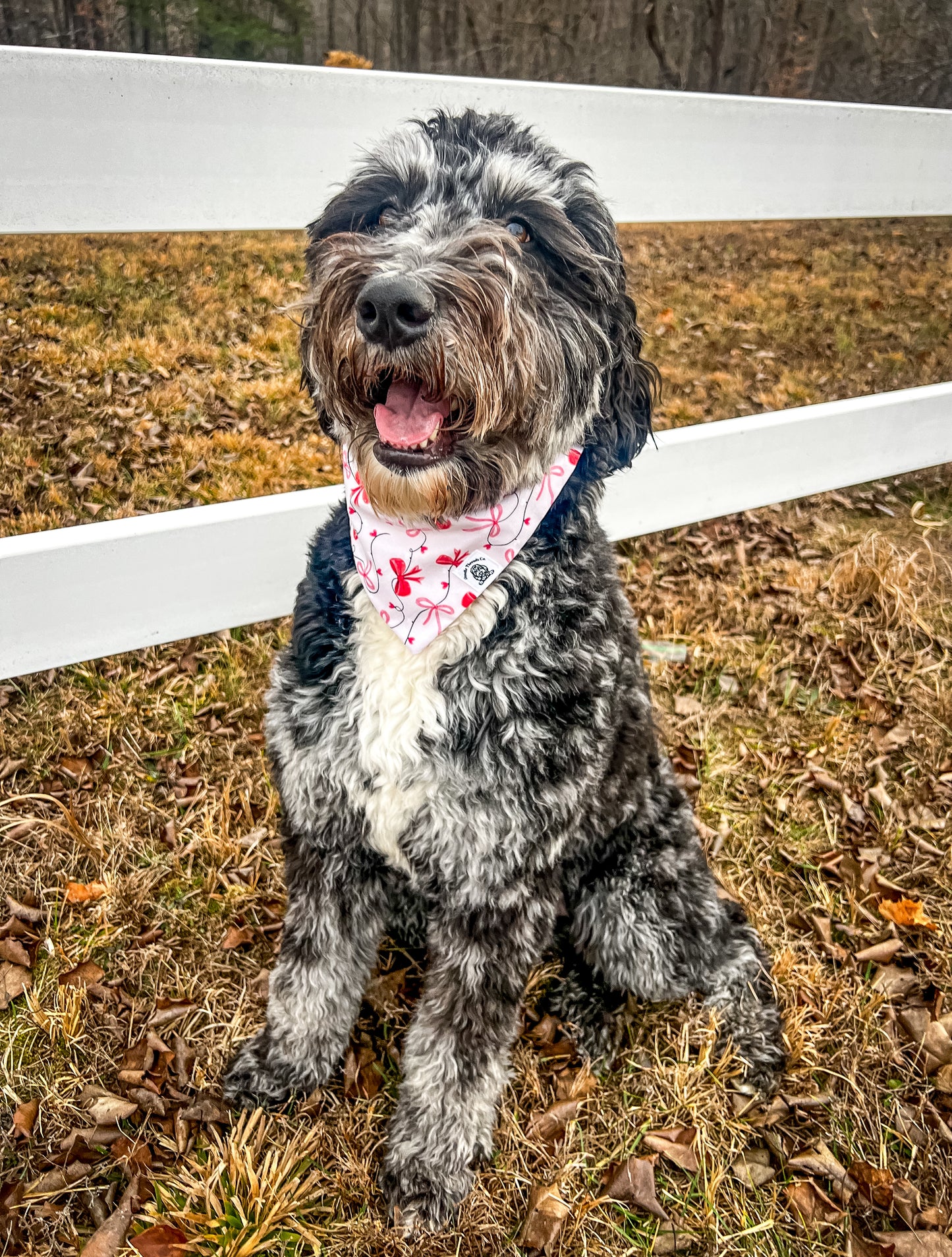 Pretty Girl