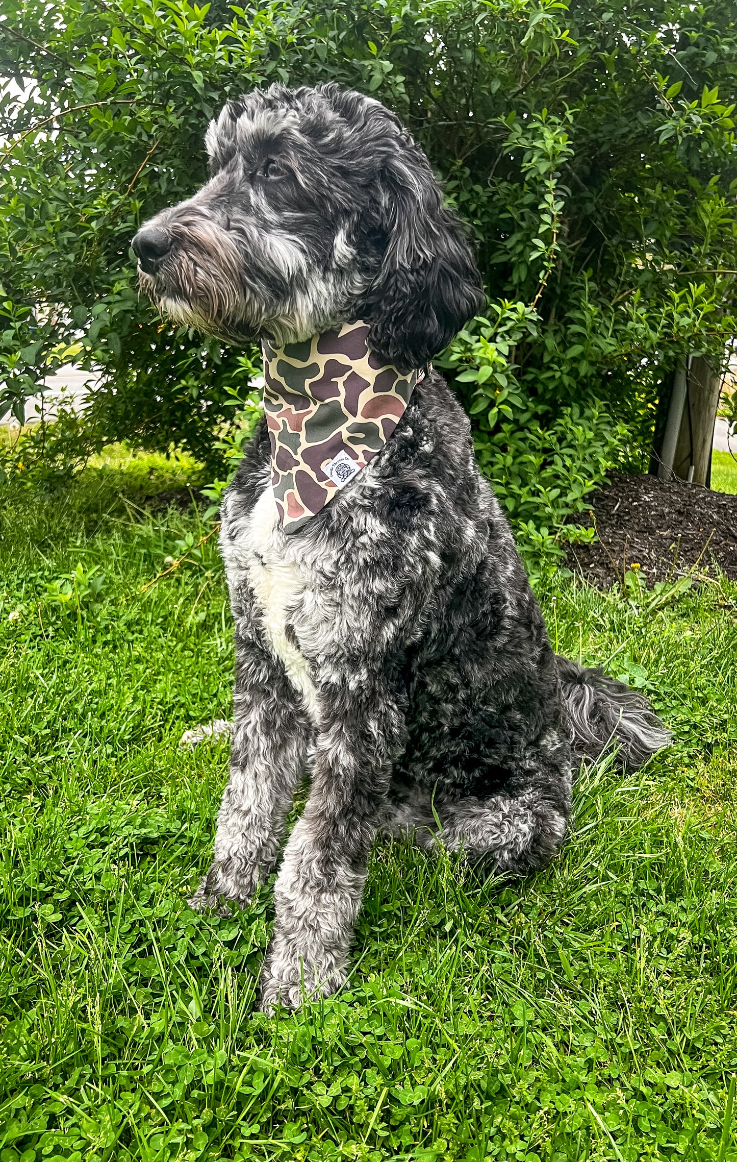 Huntin’ Buddy