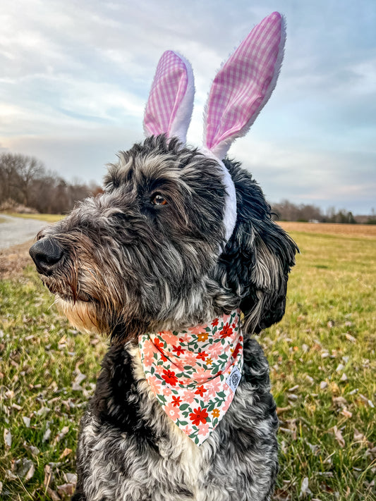 Bunny Blossom