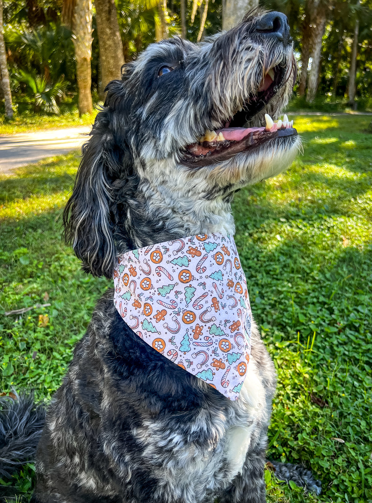 Merry & Magical – Doodle Threads Co.