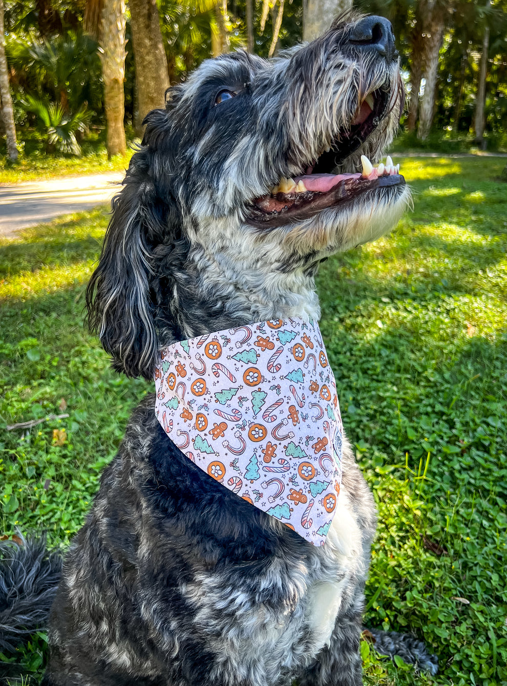 Merry & Magical – Doodle Threads Co.