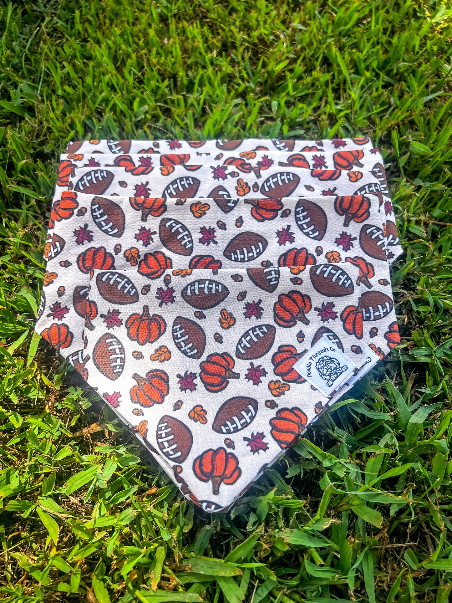 Tailgate Tails